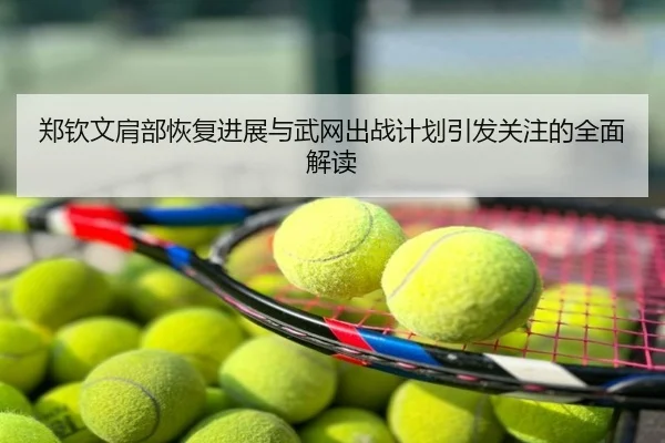 郑钦文肩部恢复进展与武网出战计划引发关注的全面解读
